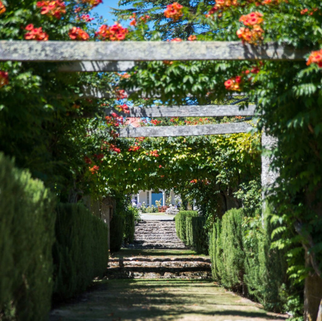 Garden3.jpg